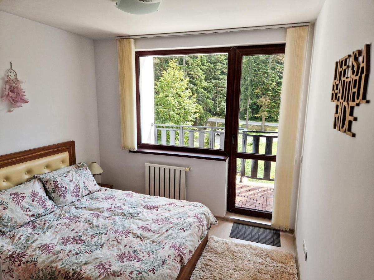 בורובץ Sunny Apartment C25 מראה חיצוני תמונה