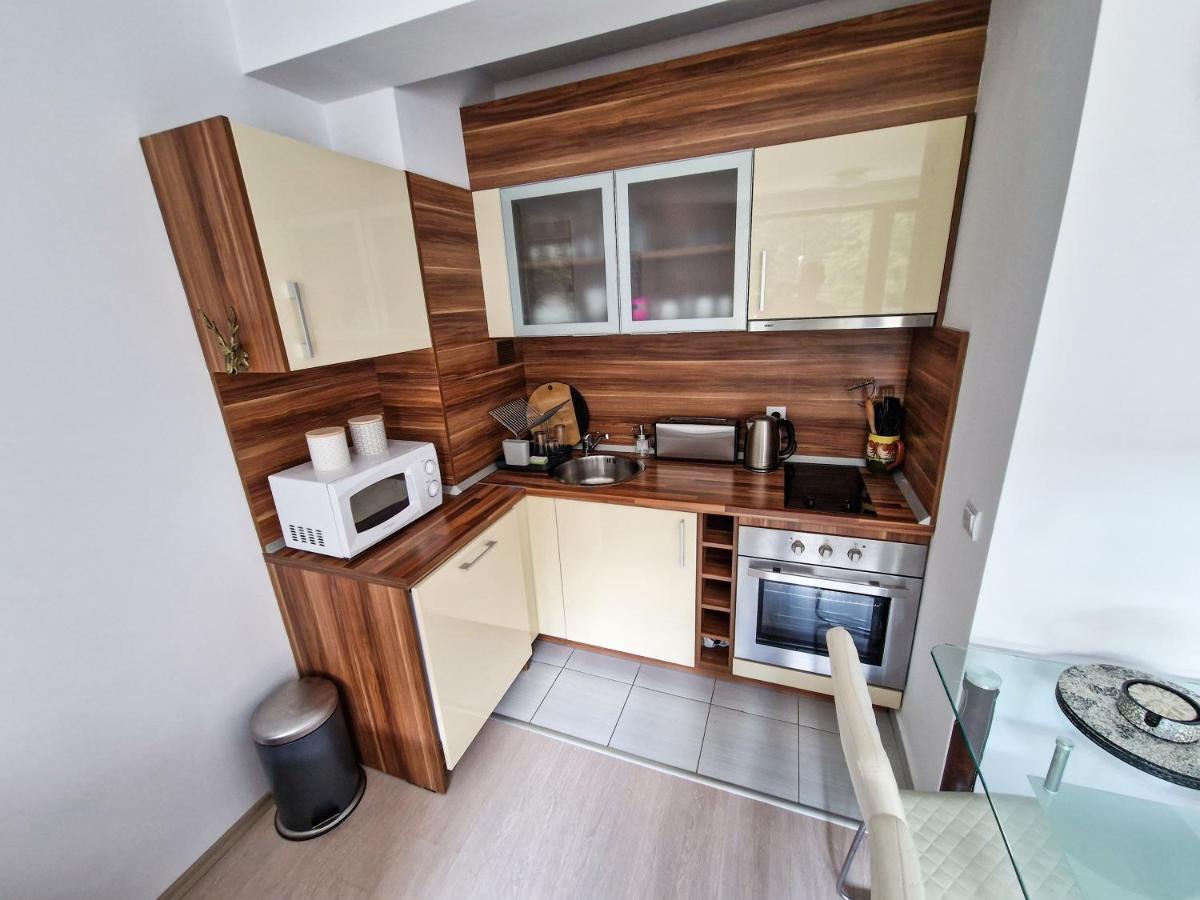 בורובץ Sunny Apartment C25 מראה חיצוני תמונה